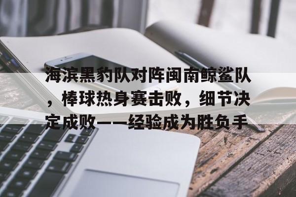 海滨黑豹队对阵闽南鲸鲨队，棒球热身赛击败，细节决定成败——经验成为胜负手的简单介绍